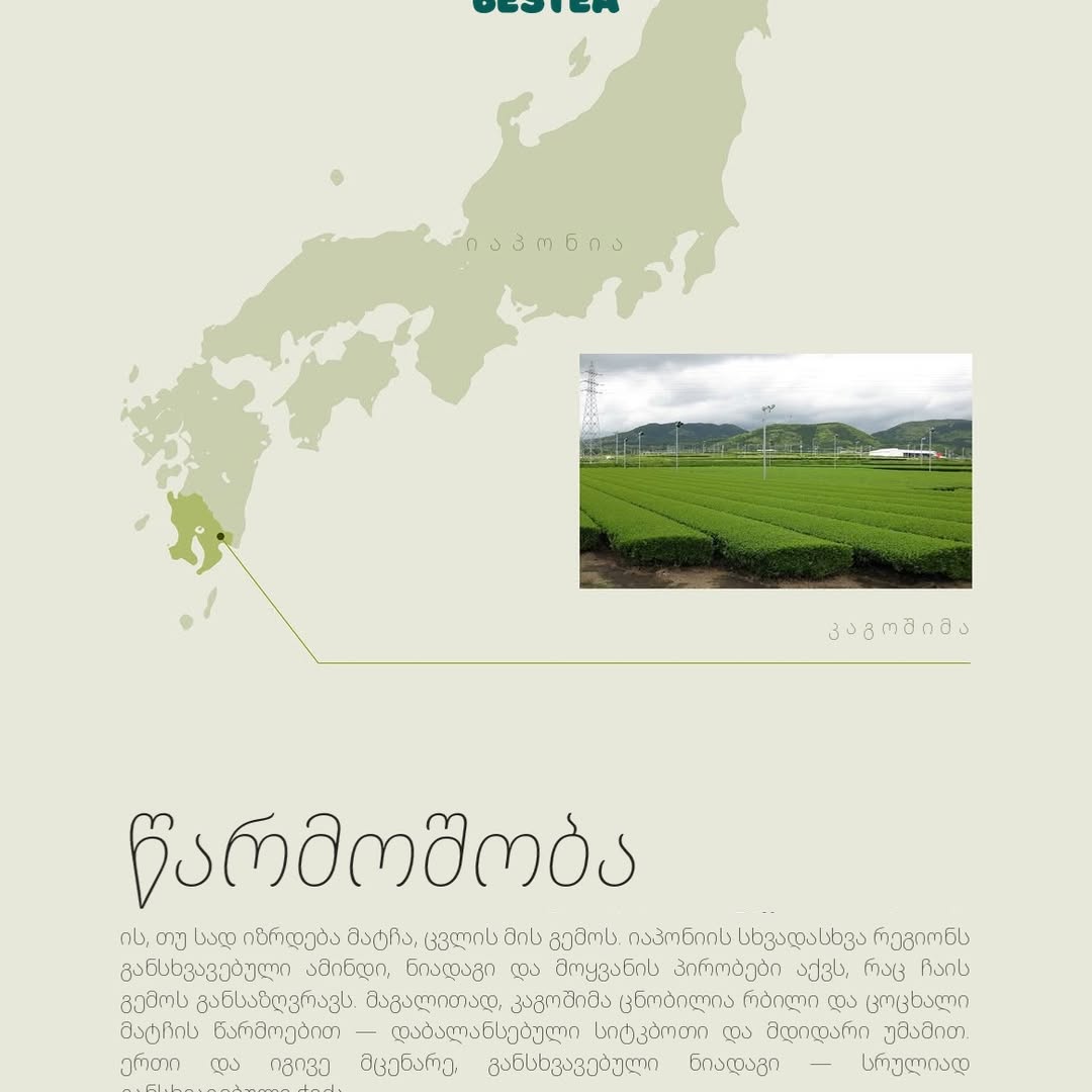 A map of Japan with a point marked in Kagoshima, linked to a photo of flat rows of tea bushes below hills